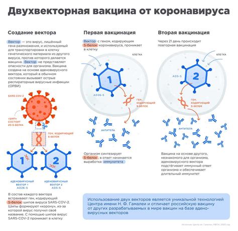 Реактогенная вакцина: принцип действия и последствия