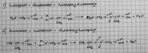 Реакции глицина: полный список веществ
