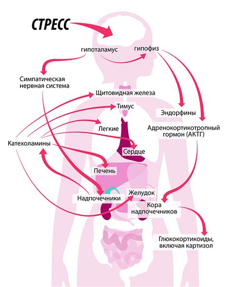 Реакции на стресс и нервное возбуждение