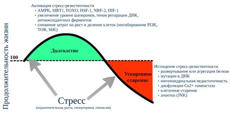 Реакция активации и стресс