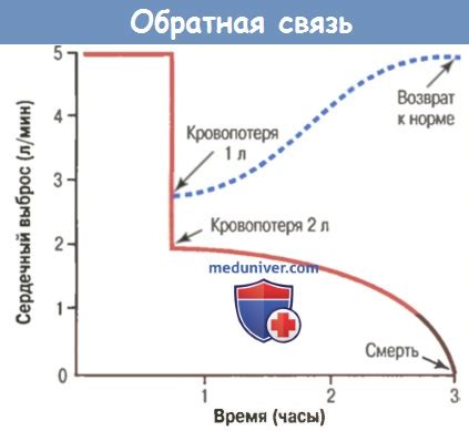 Реакция и обратная связь