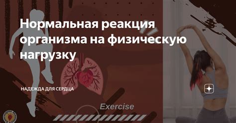 Реакция организма на физическую нагрузку