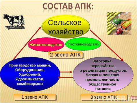 Реализация заветной мечты: небольшое сельское хозяйство и разнообразие возможностей