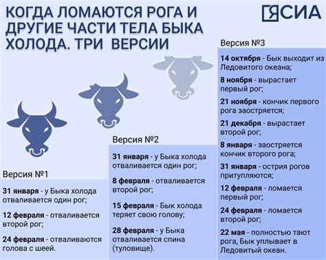 Реальность или символ? Отличие настоящей опасности от сна о быке