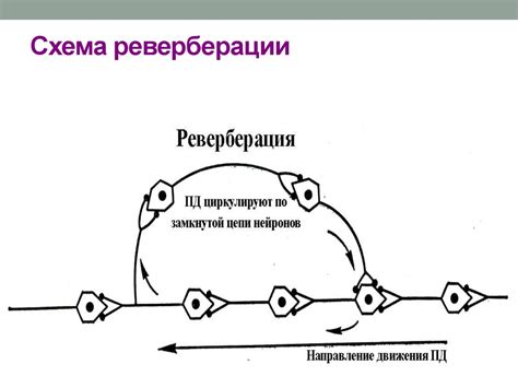 Реверберация звука и его природа