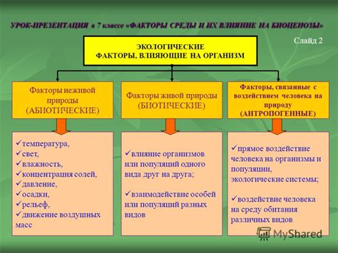 Ревматоидные факторы: суть и влияние на организм