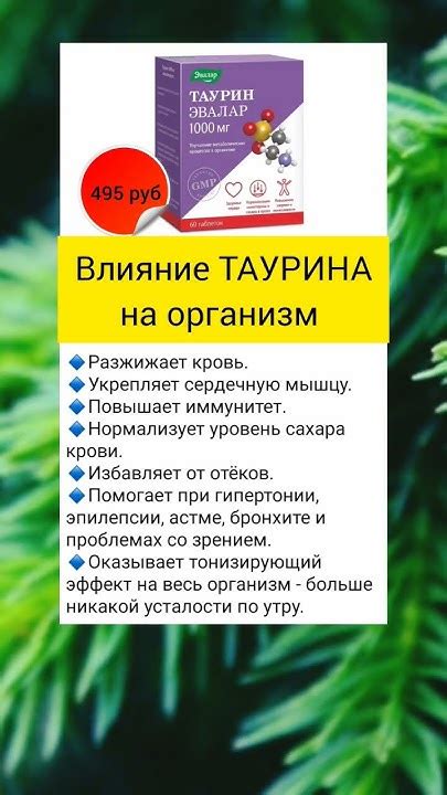 Регенерирующее действие таурина на глазные ткани