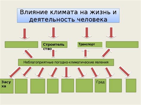 Региональная география и ее влияние на жизнь