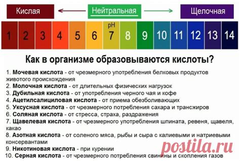 Регулирование кислотно-щелочного баланса