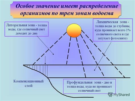 Регулирование солнечного света: какое значение имеет закат