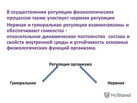 Регуляция внутренней среды и гомеостаз