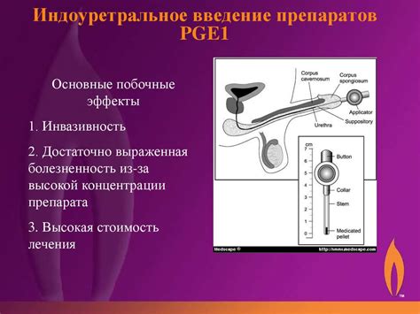 Регуляция дофамином эректильной функции