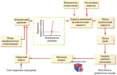 Регуляция объема внесенной жидкости