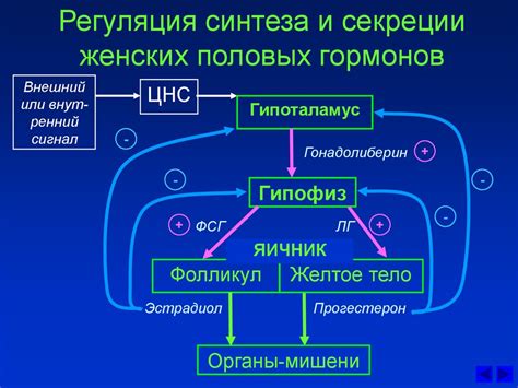 Регуляция уровня гормонов