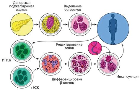 Редкий генетический дефект