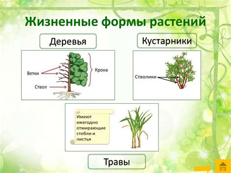 Редкость вида и его значимость в мире растений