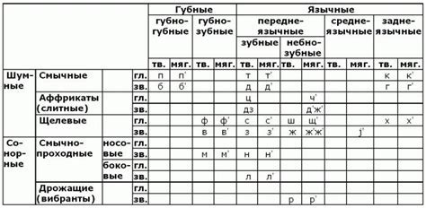 Редукция гласного: определение и понятие