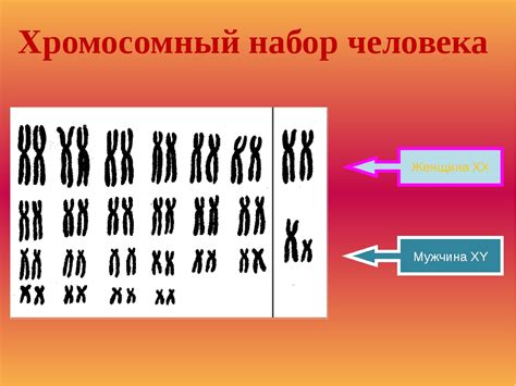 Редуцированный набор хромосом: общая информация