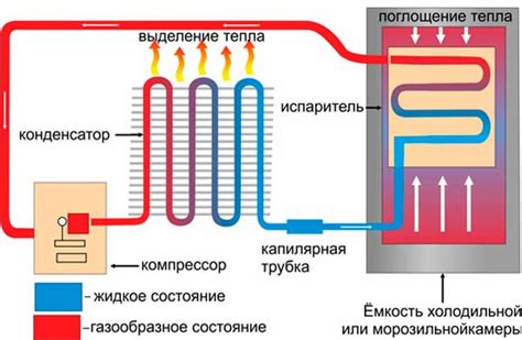 Режим холодильника в отпуске: как устроен и как работает?