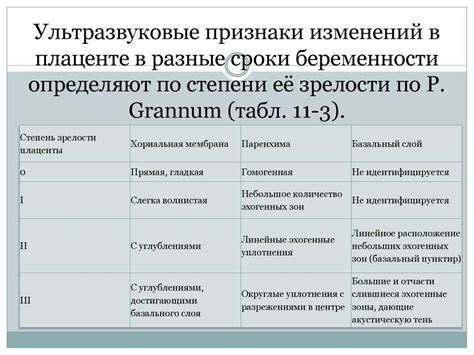 Результаты Узи степени зрелости 1: как их интерпретировать