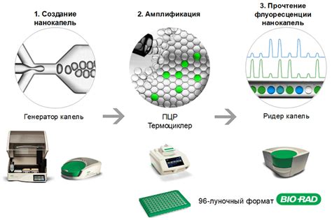 Результаты анализа ПЦР и их интерпретация