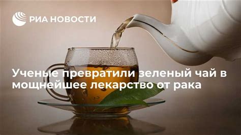 Результаты исследований о влиянии ферментативного чая