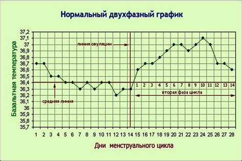 Результаты повышенной базальной температуры при планировании беременности