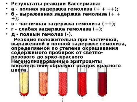 Результаты положительной реакции Вассермана и их интерпретация