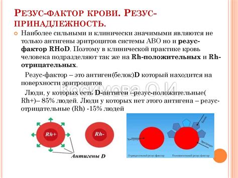 Резус-фактор крови: значимость и роль