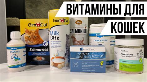 Рекомендации по выбору витаминов для кошек