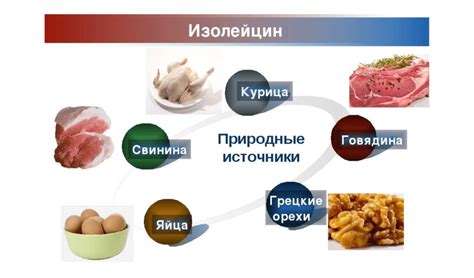 Рекомендации по использованию седативных препаратов