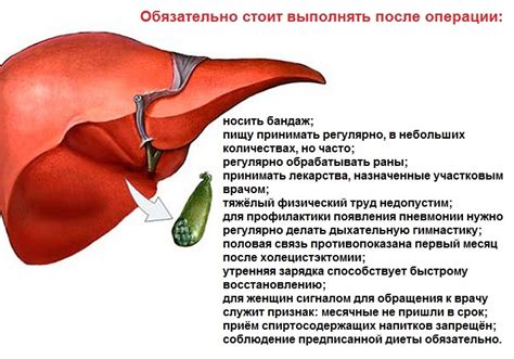 Рекомендации по питанию при отключенном желчном пузыре