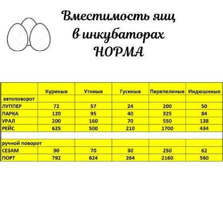 Рекомендации по проветриванию инкубатора с куриными яйцами