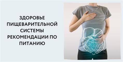 Рекомендации по уходу за пищеварительной системой сквозного типа