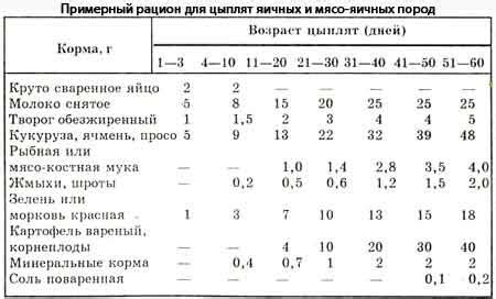 Рекомендации по частоте кормления