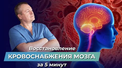 Рекомендуемые физические упражнения для улучшения кровообращения