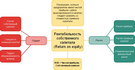 Рентабельность собственного капитала: основные концепции и понятия