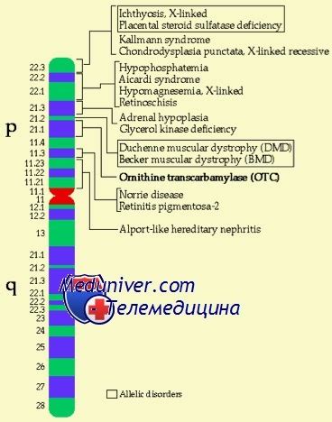 Рентген ОТК: основные сведения