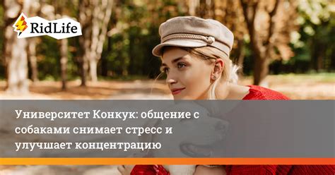 Репешок: как натуральное средство снижает стресс и улучшает ментальную активность