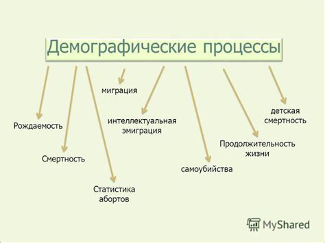 Репродуктивная деятельность и демографические процессы