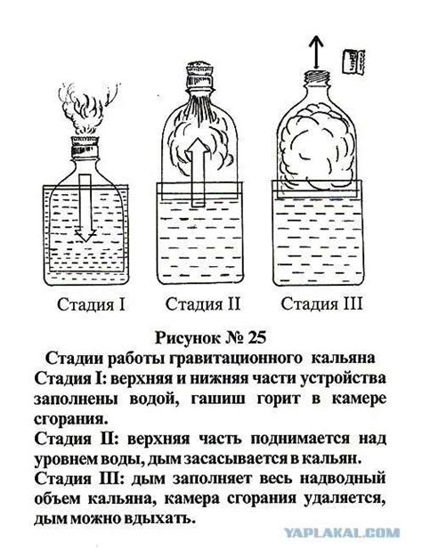 Ресуспендировать: принцип работы и применение