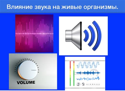 Референсное звучание: понятие и влияние на звук