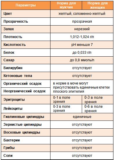 Референсные показатели: как они влияют на качество результатов