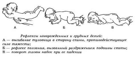 Рефлексы, помогающие малышу удерживать головку