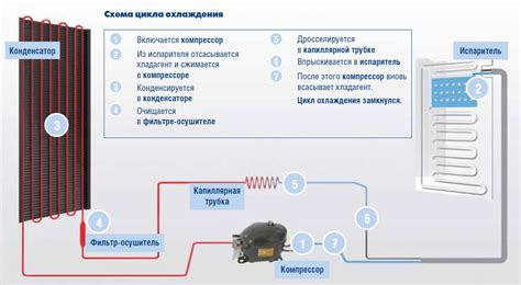 Рефрижератор-холодильник: принцип работы и его назначение