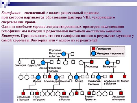 Рецессивный ген: понятие и роль в генетике