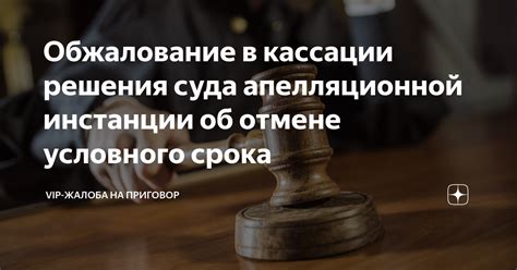 Решение апелляционной инстанции: что приносит обжалование