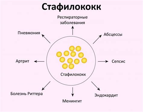 Рисковые группы для носительства золотистого стафилококка