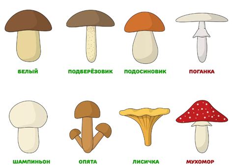 Рисование грибов как форма терапии