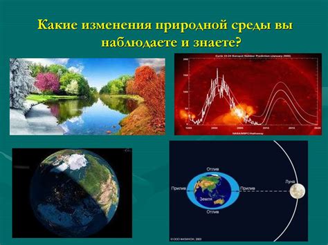 Ритмы Луны и их влияние на биологические процессы